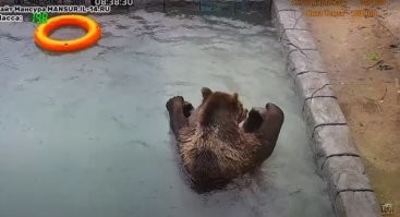 15 антистрессовых картинок, чтобы отдохнуть после рабочей недели 