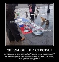 Что за день Кошек без героев Васи Ложкина?