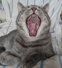 ЭТО ТОЧНО!!!