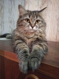 ЭТО ТОЧНО!!!