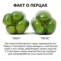 ОК.... а с пятью долями тогад кто?