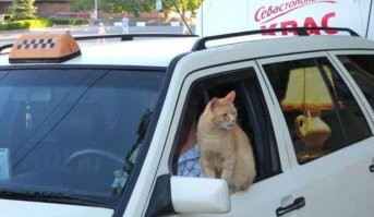 Это не то, что "на Оскара не тянет", это даже не "театр юношеской самодеятельности".