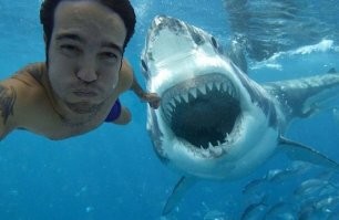 Искусство селфи с животными