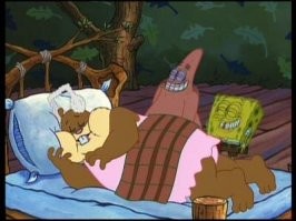 Как спит белка: камера в дупле