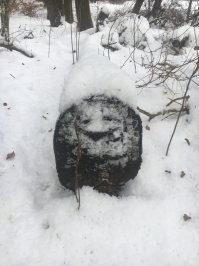 Как-то пошла с собакой в лес гулять и мне встретилось такое. Это было так мило