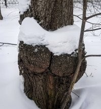 Такое тоже бывает :)