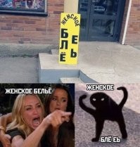 Сволочи, что с котом сделали!