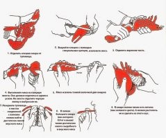 Не ударь в салат лицом: 30 шпаргалок для посещения ресторанов