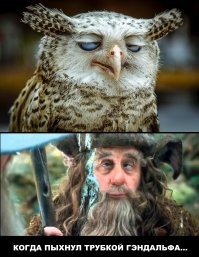 Приколюхи в картинках и фото