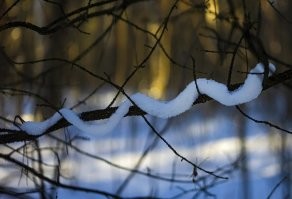Вот.  В парке видел. Ужик замерз (ирония)