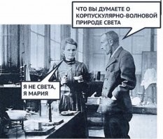 Демотиваторы: котики, дизайнеры и красота 