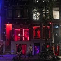 Витрины квартал красных фонарей в Амстердаме
Фото 8/10