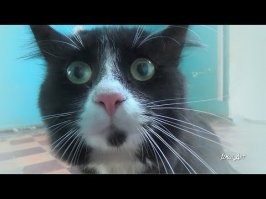 А из них квасить можно?