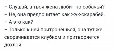 Смешные и познавательные картинки