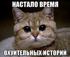 "Юрист-автоподставщик" на Bentley устроил 60 аварий