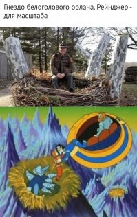 22 по-настоящему крупных штуковины