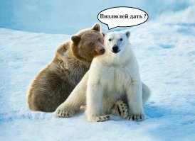 Кто родится от союза бурого медведя с белым