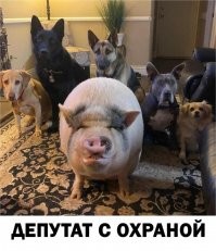 Депутат рассказал ветеранам труда: встретил начальника - поклонись!