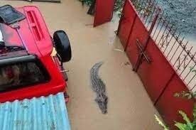 И где-то поблизости: