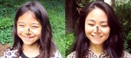 За 17 лет муха так и не улетела- видимо, понравилась.