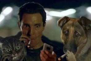 Компания Xiaomi запускает на рынок дешевого робота-пса