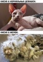 Чёт обе уёпищные