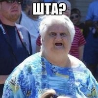 Демотиваторы: котики, дизайнеры и красота 