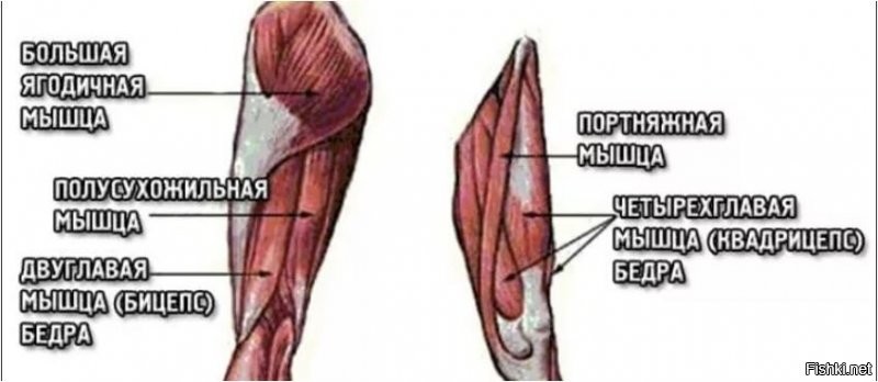 Это у Вас увеличиваются в размерах: