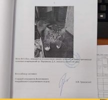 Без ретуши.