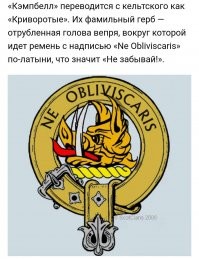 Смешные комментарии из&nbsp;социальных сетей