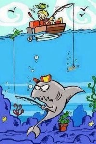 Смешные и познавательные картинки