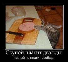 15 домашних хулиганов, которым плевать на хорошие манеры 