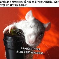 Это с какой тусы девочек-нищебродок?