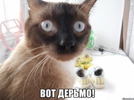 Little Big сняли клип про усатых женщин с победительницей «Евровидения-2018»