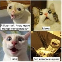 Смешные и познавательные картинки