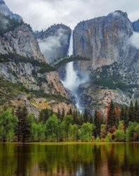 Самый загадочный - 23-й: чей это хвост?