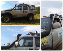 Хорошая штука - шнорхель.