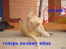 "Искусственная группа": стала известна причина распада «Тату»