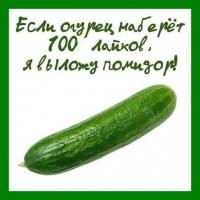 Если после огурца запостишь не помидор, а помидорки....