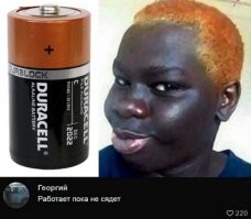 хозяин домой приезжает,вот и бегут встречать