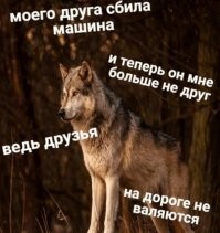 Смешные и познавательные картинки