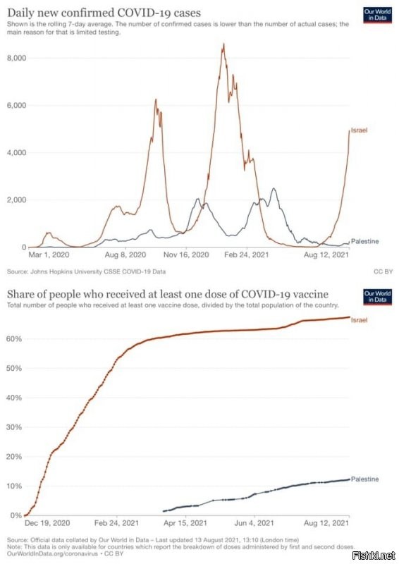 ИЗРАИЛЬ - С высоким уровнем вакцинации
ПАЛЕСТИНА - С никакушным уровнем вакцинации
Ну и кто тут герой по по заболеваемости ???