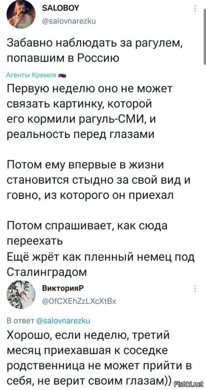 О политике и не только