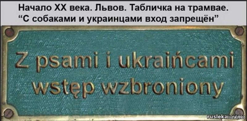 Скажу больше, их приравнивали к собакам...