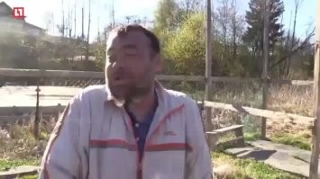 Утка и крокодилы