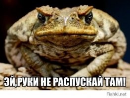 Реакция лягушки на собаку