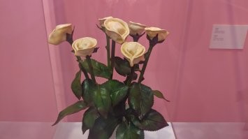 Так растут пельмени.
Мир удивителен!