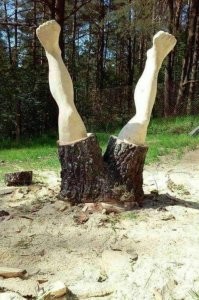 29 удивительных фотографий нашего удивительного мира