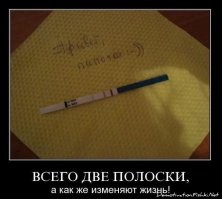 Мужик решил, что в окно реально лучше.