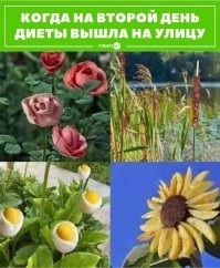 Не ешьте это немедленно: о проблемах худеющих